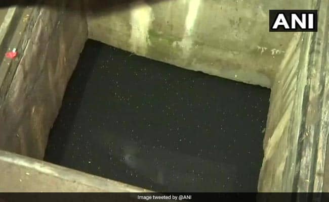 To Save Cat Stuck In Animal Waste Pit, 6 People Jump In One After Another, 5 Die