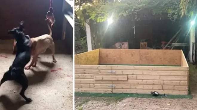 Four people have been found guilty of helping to run a dog fighting ring