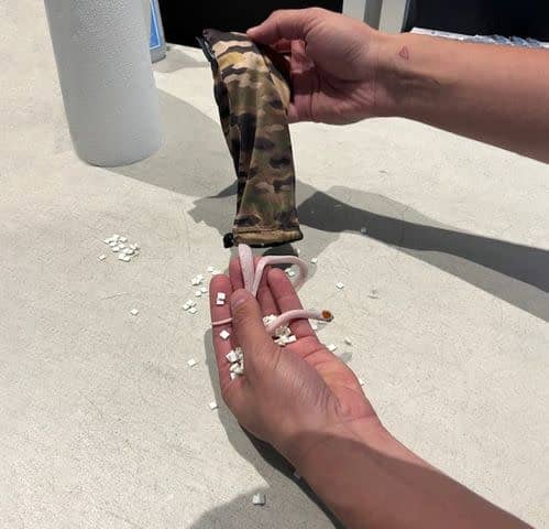 <p>TSA Gulf/X</p> Snakes discovered inside bag at Miami International Airport
