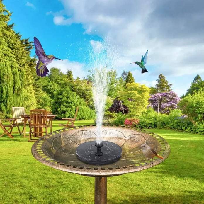 bird bath fountain in a bird bath, spraying water up to hummingbirds 