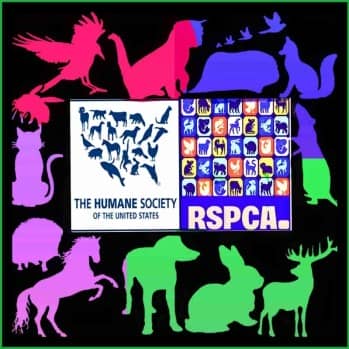 HSUS and RSPCA logos.
