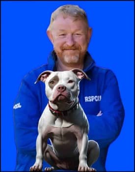 Chris Sherwood, president RSPCA with pit bull.