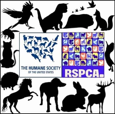 HSUS and RSPCA logos with silouette animals.