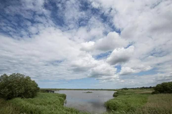 Eastern Daily Press: RSPB Titchwell in north Norfolk
