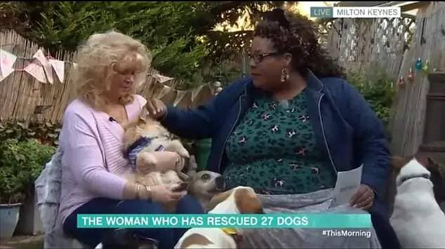 Claire-Louise Nixon, director of the Wheels To Paws charity, recalled being interviewed by Alison in 2019 and claimed the broadcaster was 'scared' of her brood of four-legged friends  (pictured during the 2019 interview)