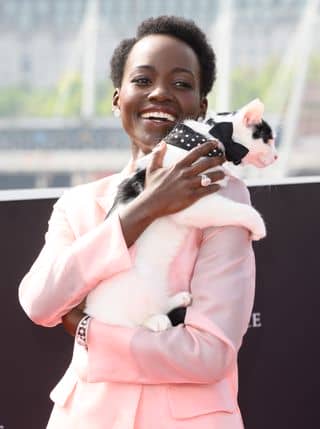 Lupita Nyong'o poses with a cat on a red carpet wearing a pink suit