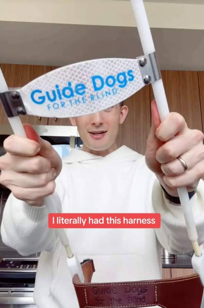 Paul's dog Mr. Maple has a guide dog harness. (@matthewandpaul/TikTok)