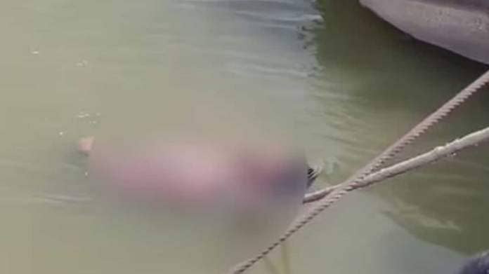 Shocking! Man dies of snake bite, family hangs his body in Ganga for revival