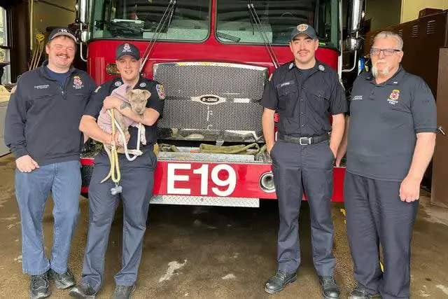 <p>The Buffalo Fire Department/Facebook</p> Auburn the puppy with her rescuers from the Buffalo Fire Department