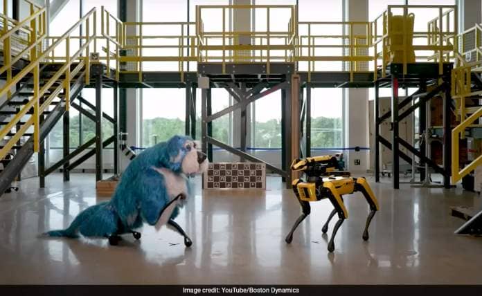 Video Of Dancing Robot Dog Shocks Internet: 'Fuel For Nightmares'